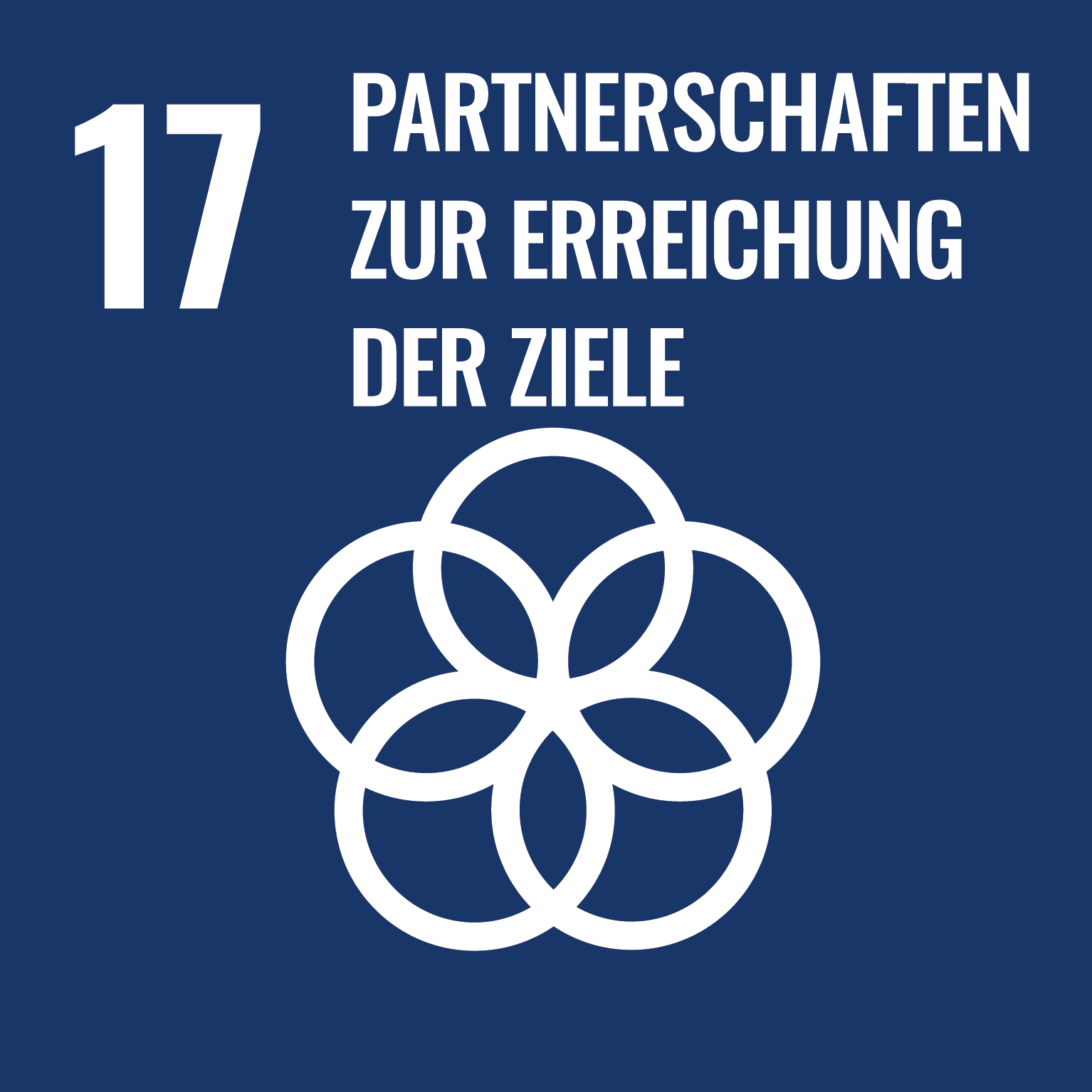 SDG 17 Partnerschaften zum Erreichen der Ziele