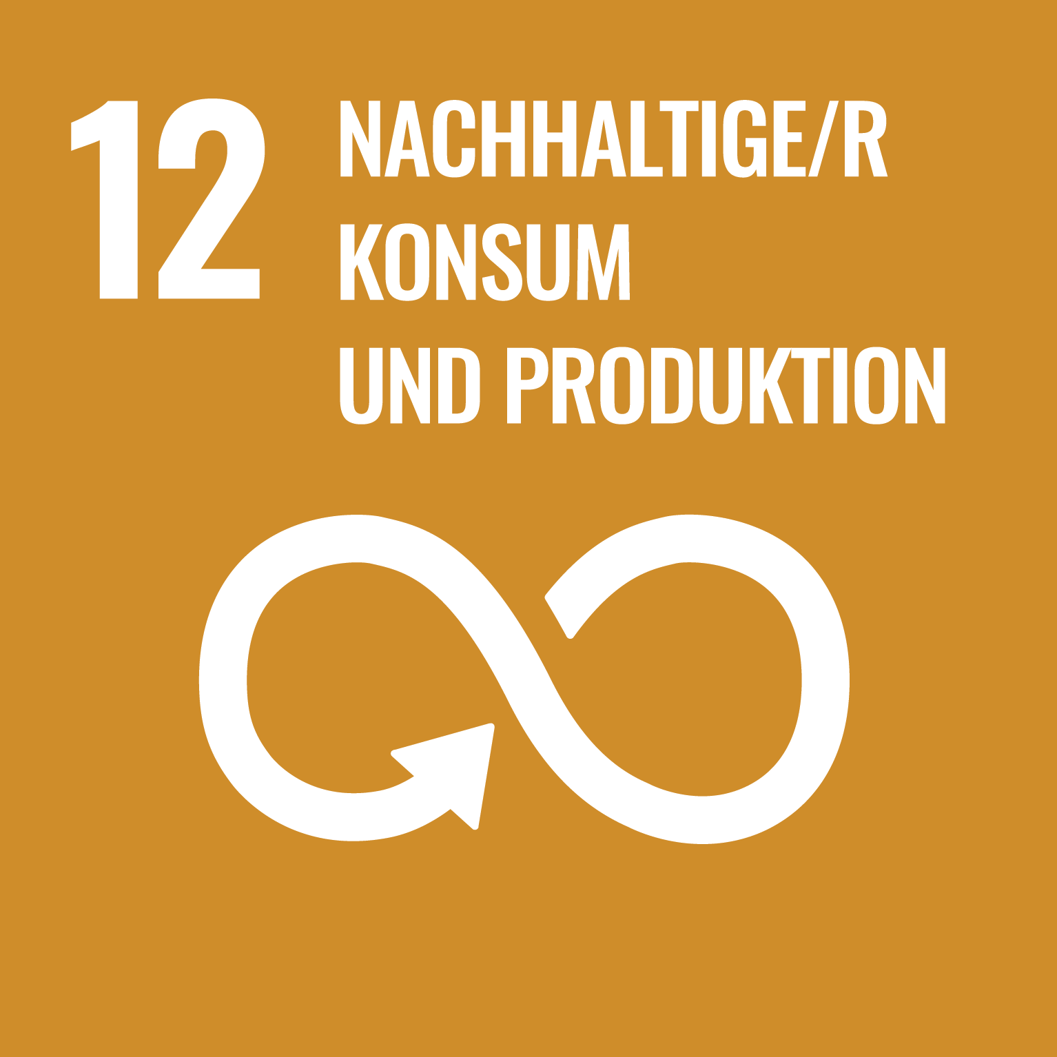 SDG 12 Nachhaltiger Konsum und Produktion